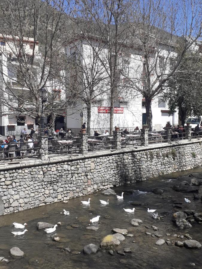 Apartamentos Pinos Genil Bagian luar foto