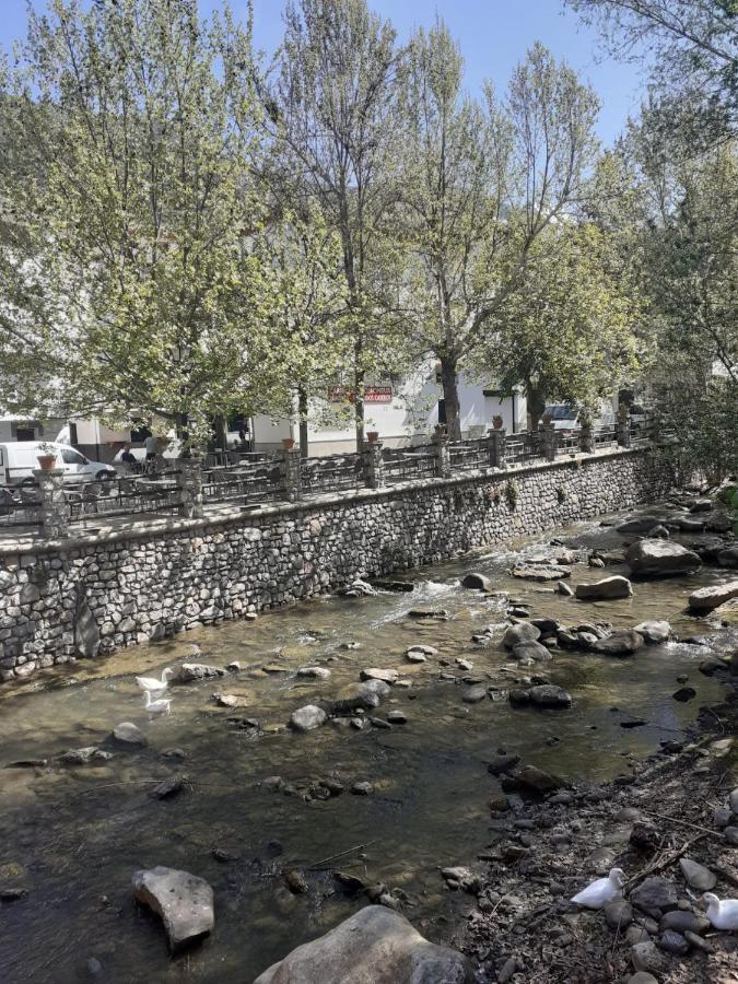 Apartamentos Pinos Genil Bagian luar foto