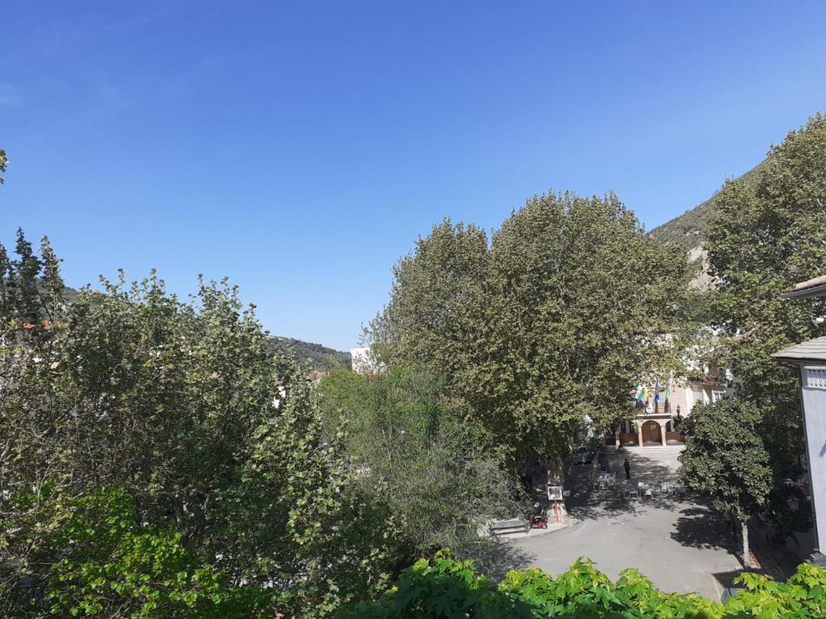 Apartamentos Pinos Genil Bagian luar foto